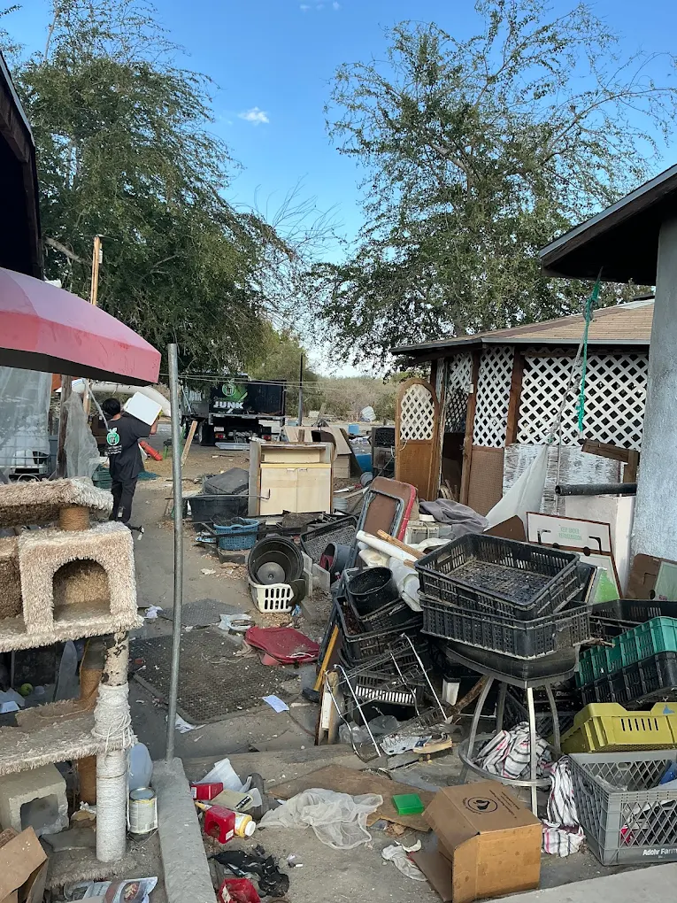 Backyard cleanout with various junk items ready for removal